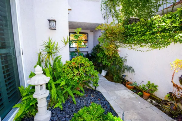 a plant that is in front of a door