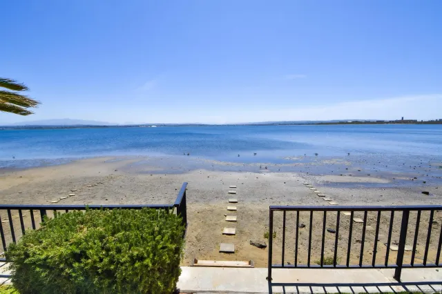 a view of a patio with couches table and chairs under an umbrella with palm trees