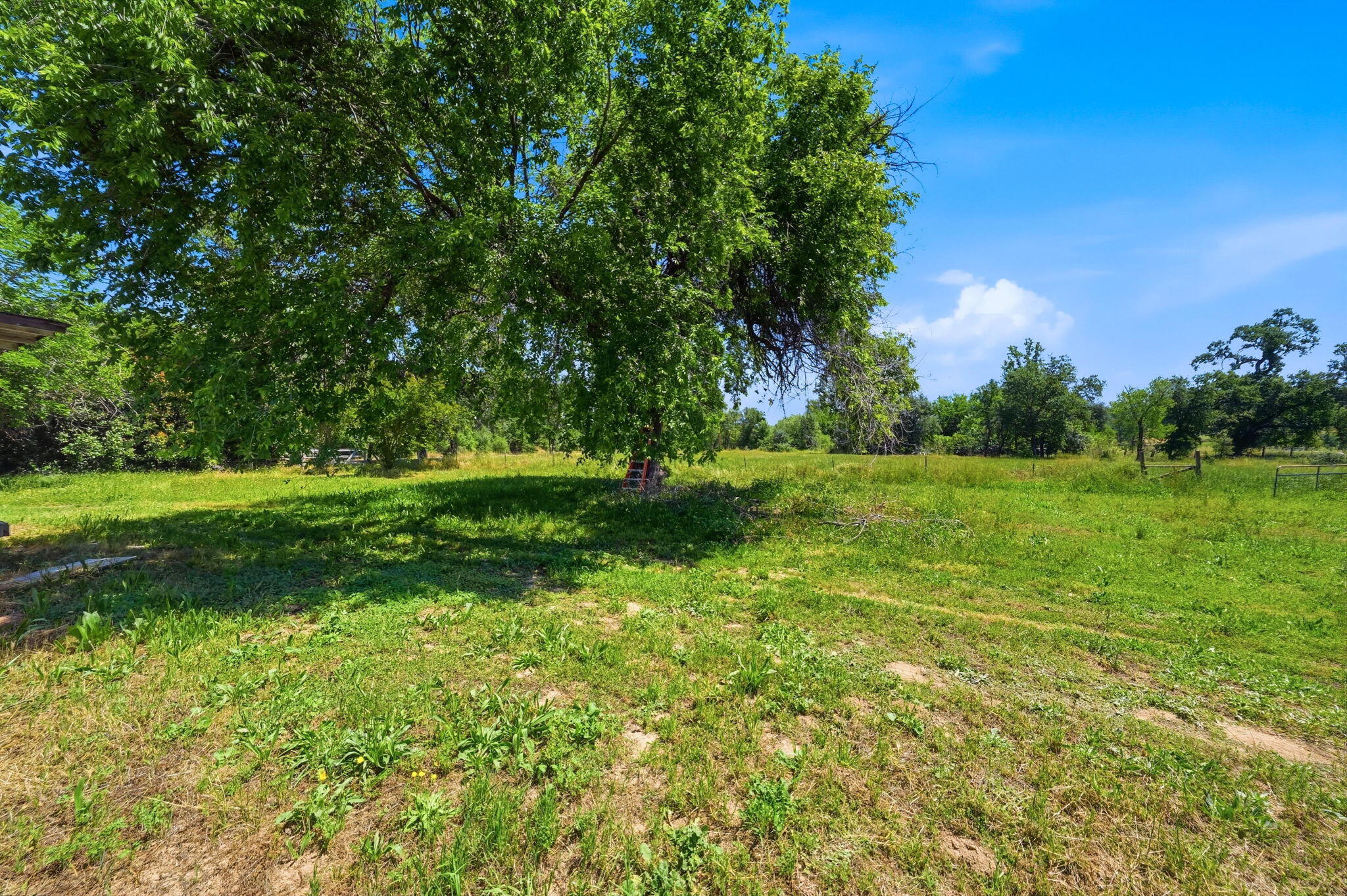 21897 Robledo Road Palo Cedro, CA 96073 - Photo 33 of 55 33-web-or-mls-IMG-33