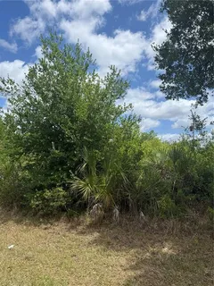 $20,000 | 12090 Zittle Avenue, Port Charlotte, FL 33981