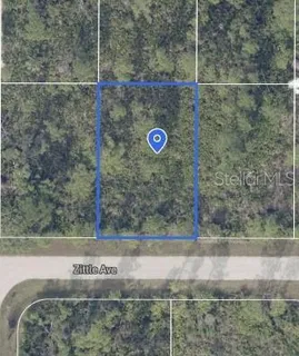 $20,000 | 12090 Zittle Avenue, Port Charlotte, FL 33981