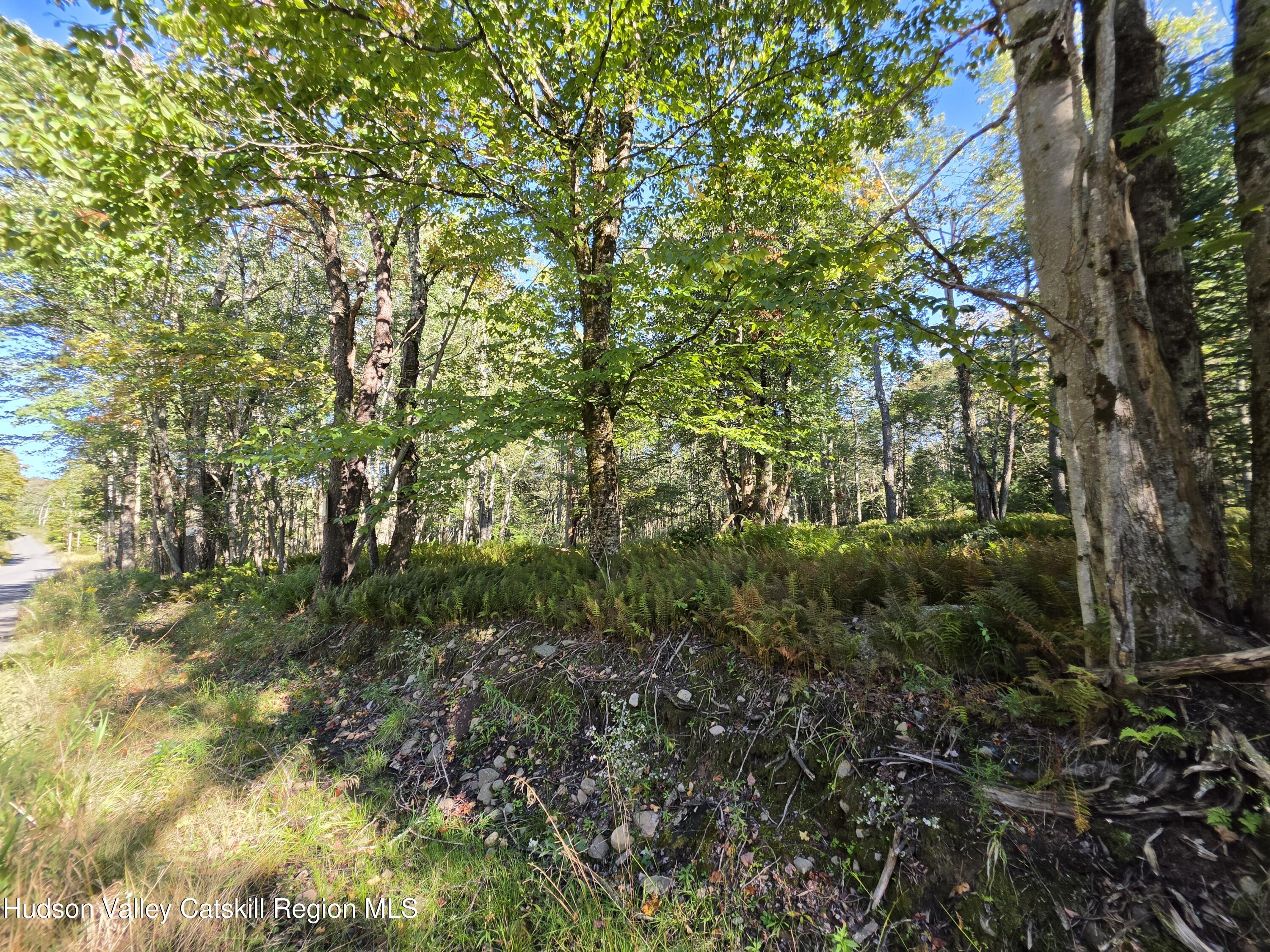 Tbd Anderson Road 1 Road Parksville, NY 12768 - Photo 17 of 27 20260914_163300