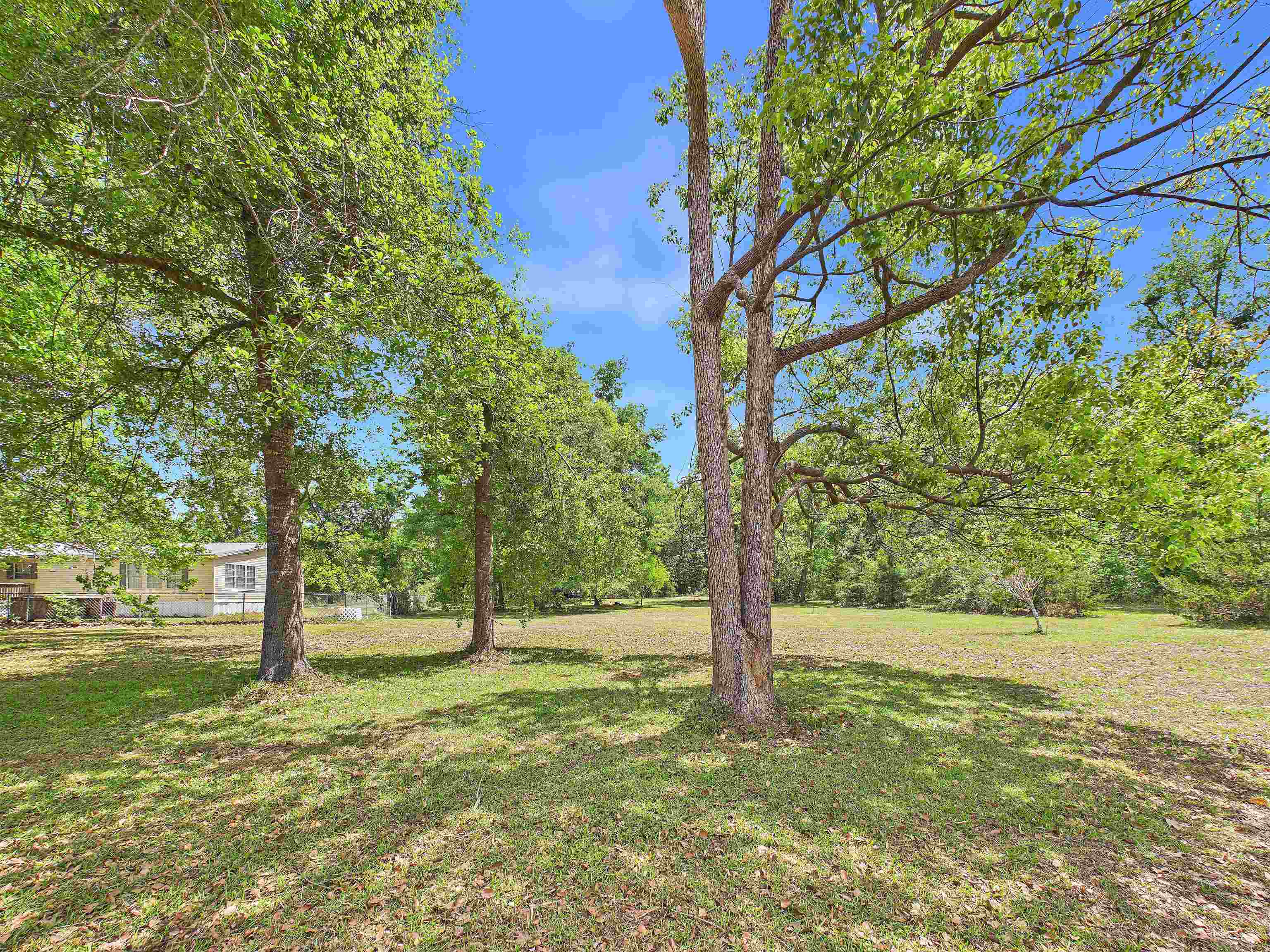 2230 Golf Course Road Perry, FL 32348 - Photo 4 of 44