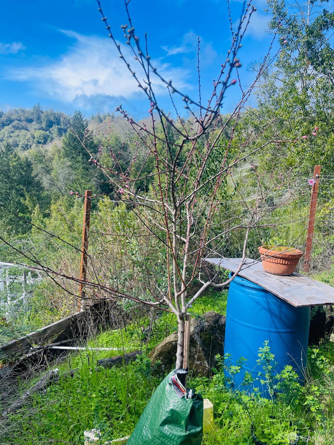 0 Sunset View Road Los Gatos, CA 95033 - Photo 18 of 25 a view of a house with a street view