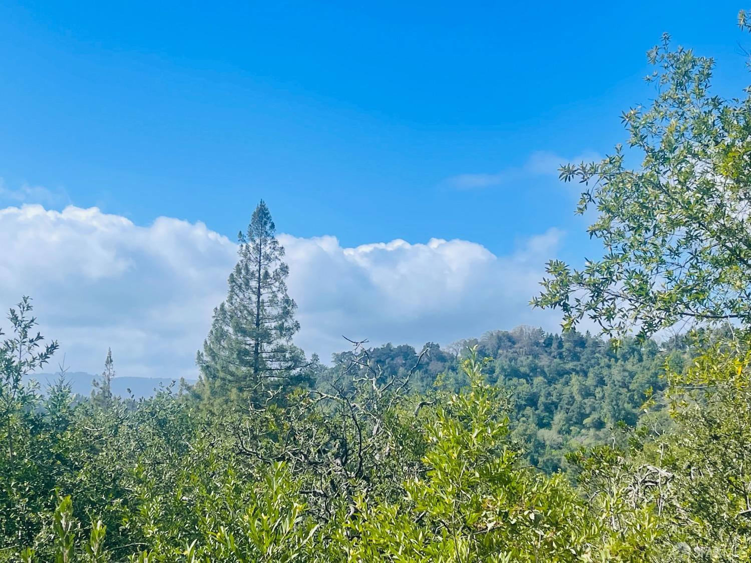0 Sunset View Road Los Gatos, CA 95033 - Photo 24 of 25 a view of a lake