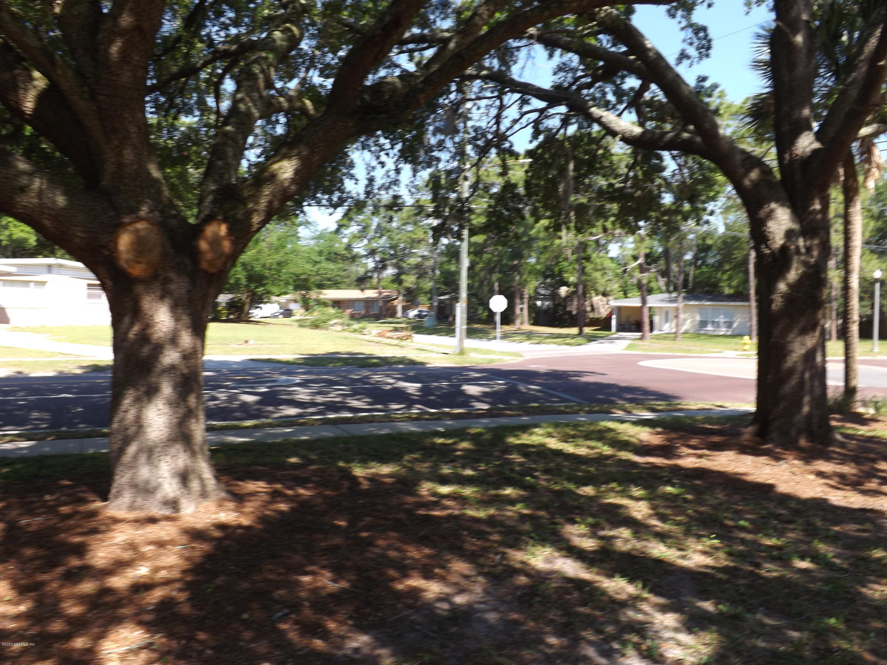 3565 Rogero Road Jacksonville, FL 32277 - Photo 65 of 74 a view of a yard with an tree
