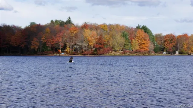 $175,000 | 47 Catskill Trail, Smallwood, NY 12778