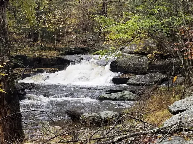 $175,000 | 47 Catskill Trail, Smallwood, NY 12778