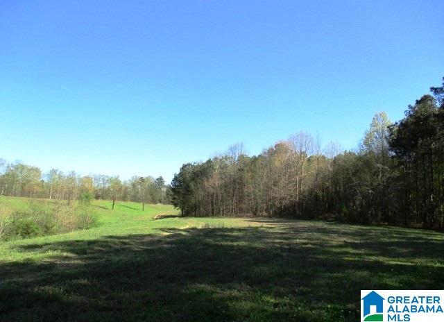 6971 Highway 24 Oneonta, AL 35121 - Photo 21 of 45