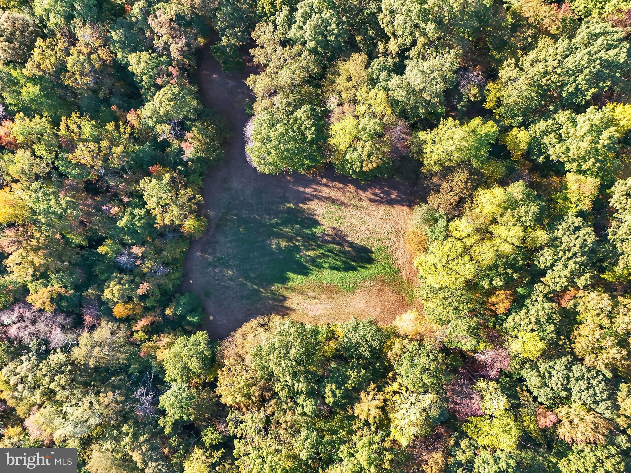 Williams Road Woodstown, NJ 08098 - Photo 11 of 19