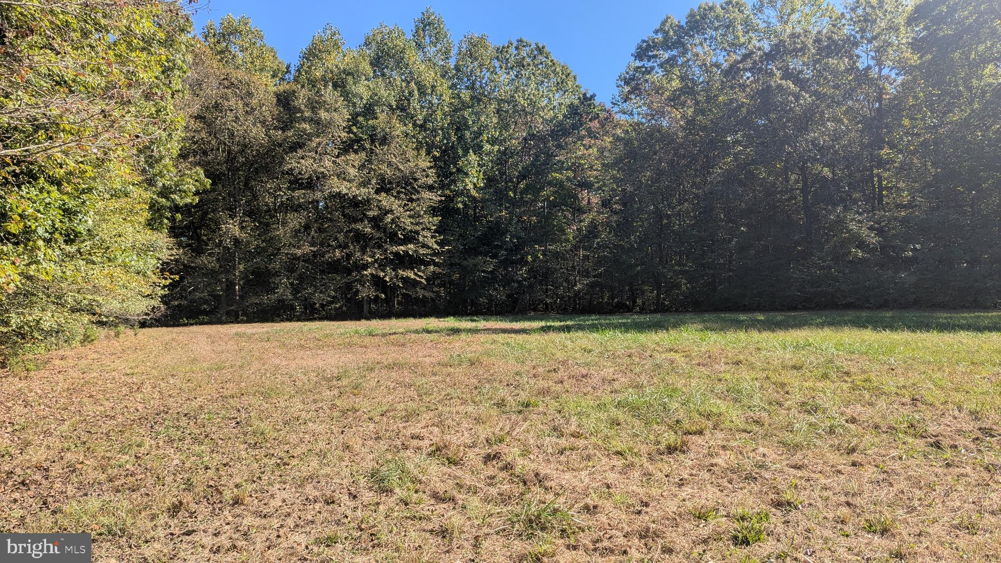 Williams Road Woodstown, NJ 08098 - Photo 12 of 19