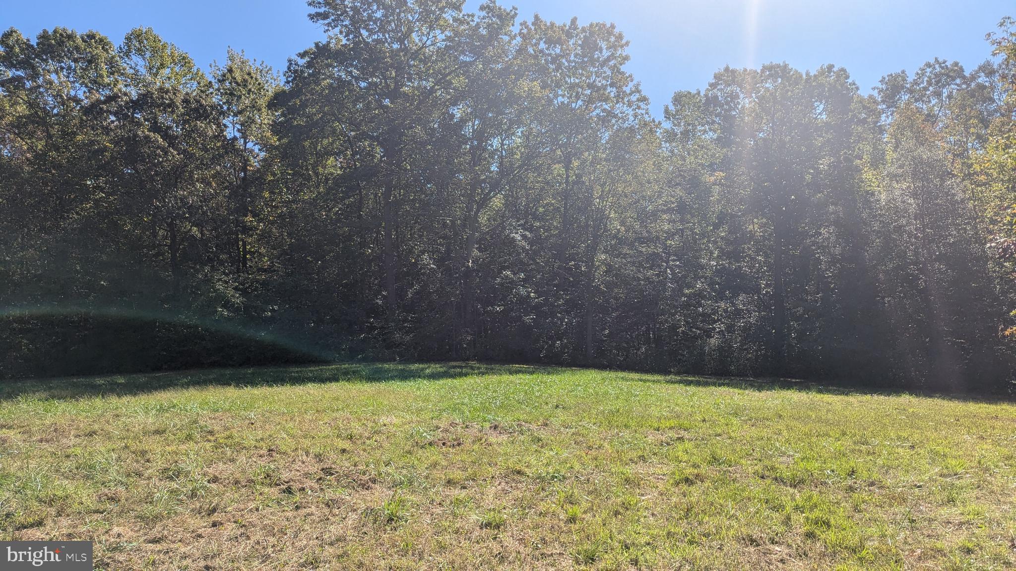 Williams Road Woodstown, NJ 08098 - Photo 13 of 19