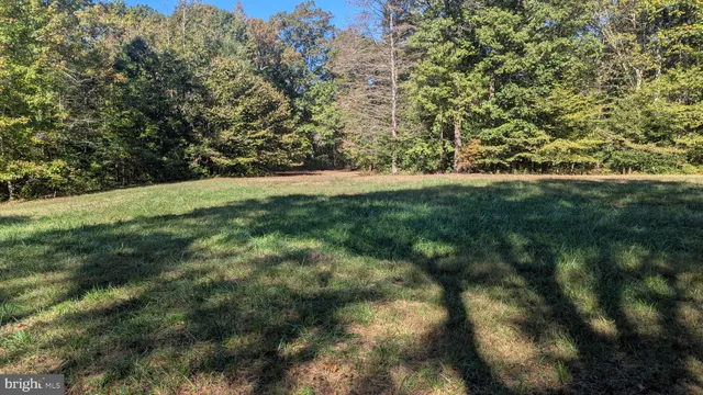 a view of outdoor space with trees all around