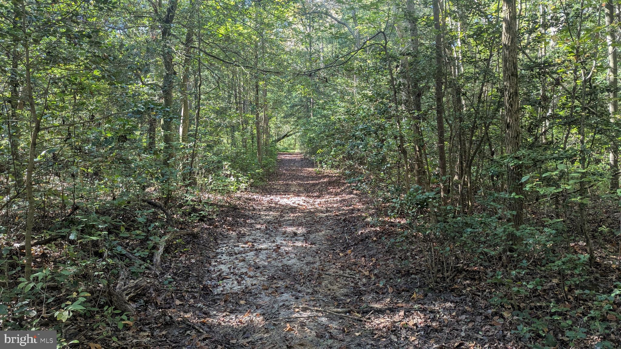 Williams Road Woodstown, NJ 08098 - Photo 17 of 19