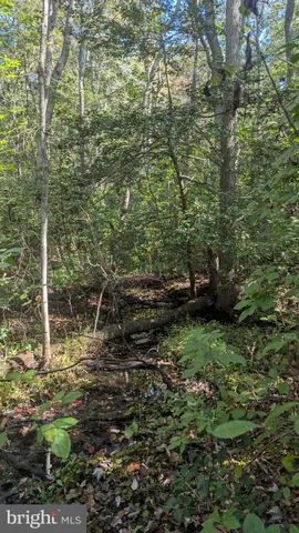 $395,000 | Williams Road, Woodstown, NJ 08098