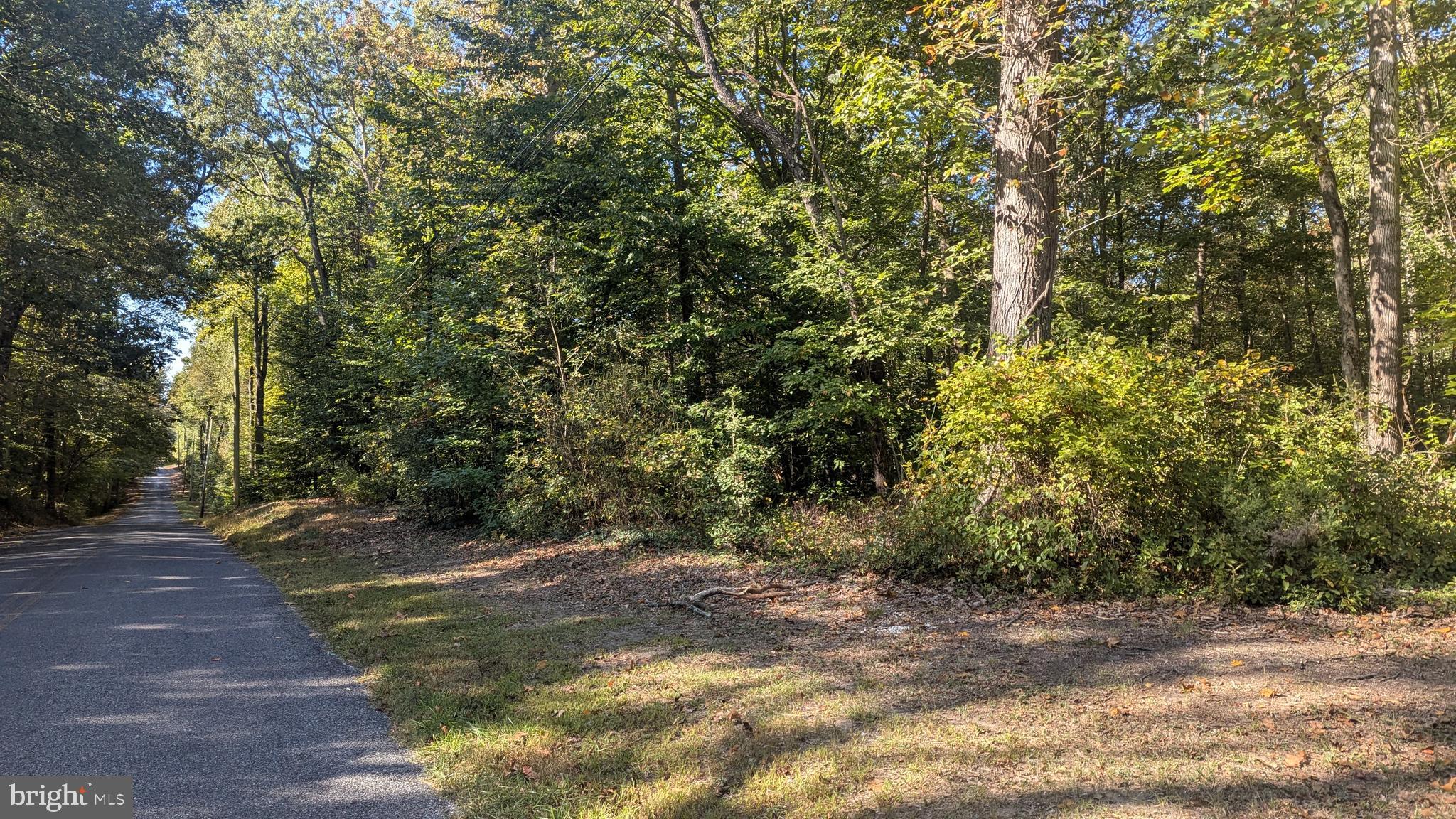 Williams Road Woodstown, NJ 08098 - Photo 3 of 19