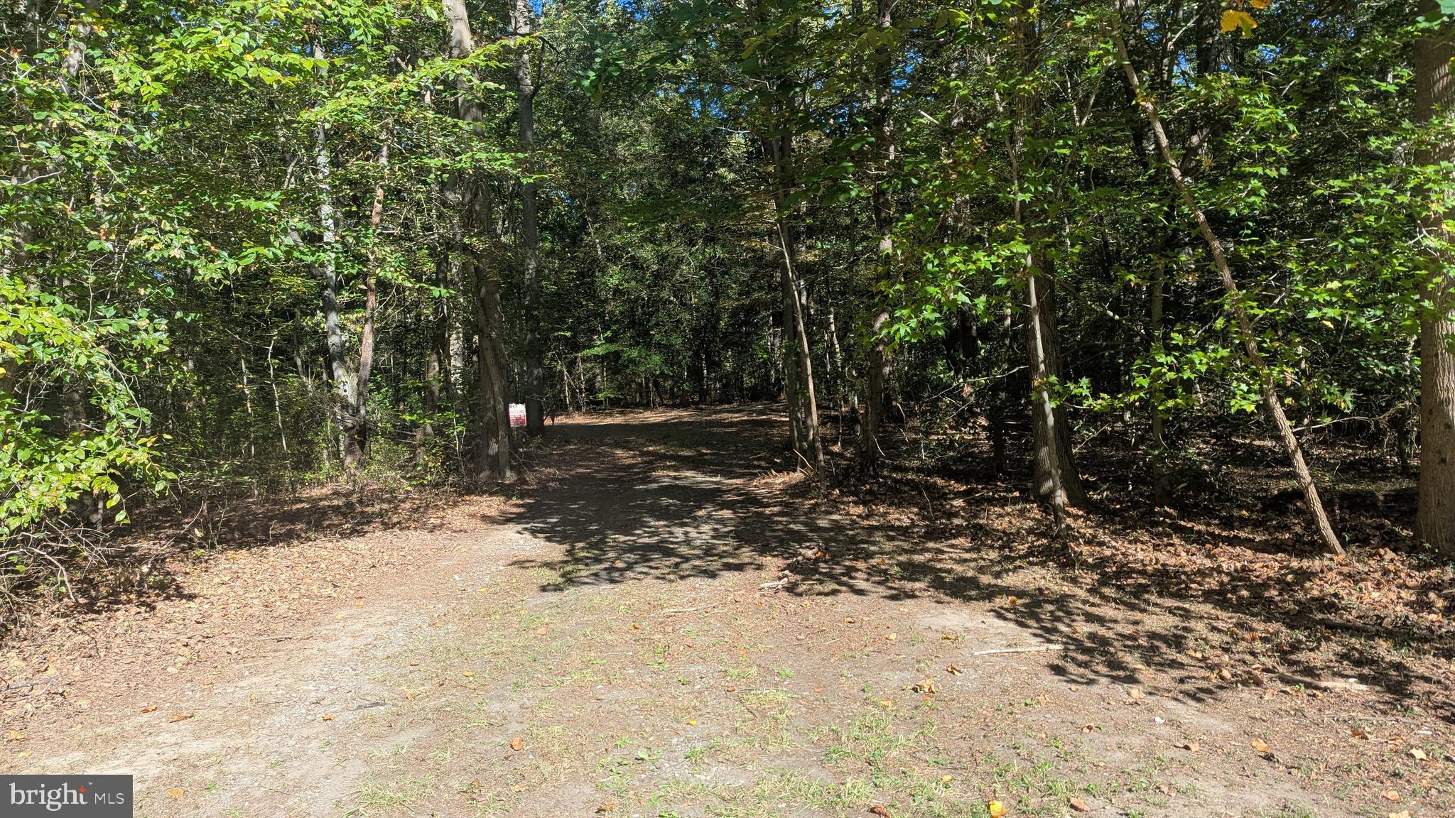 Williams Road Woodstown, NJ 08098 - Photo 4 of 19 Stone driveway
