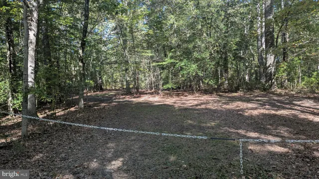 a view of outdoor space with trees