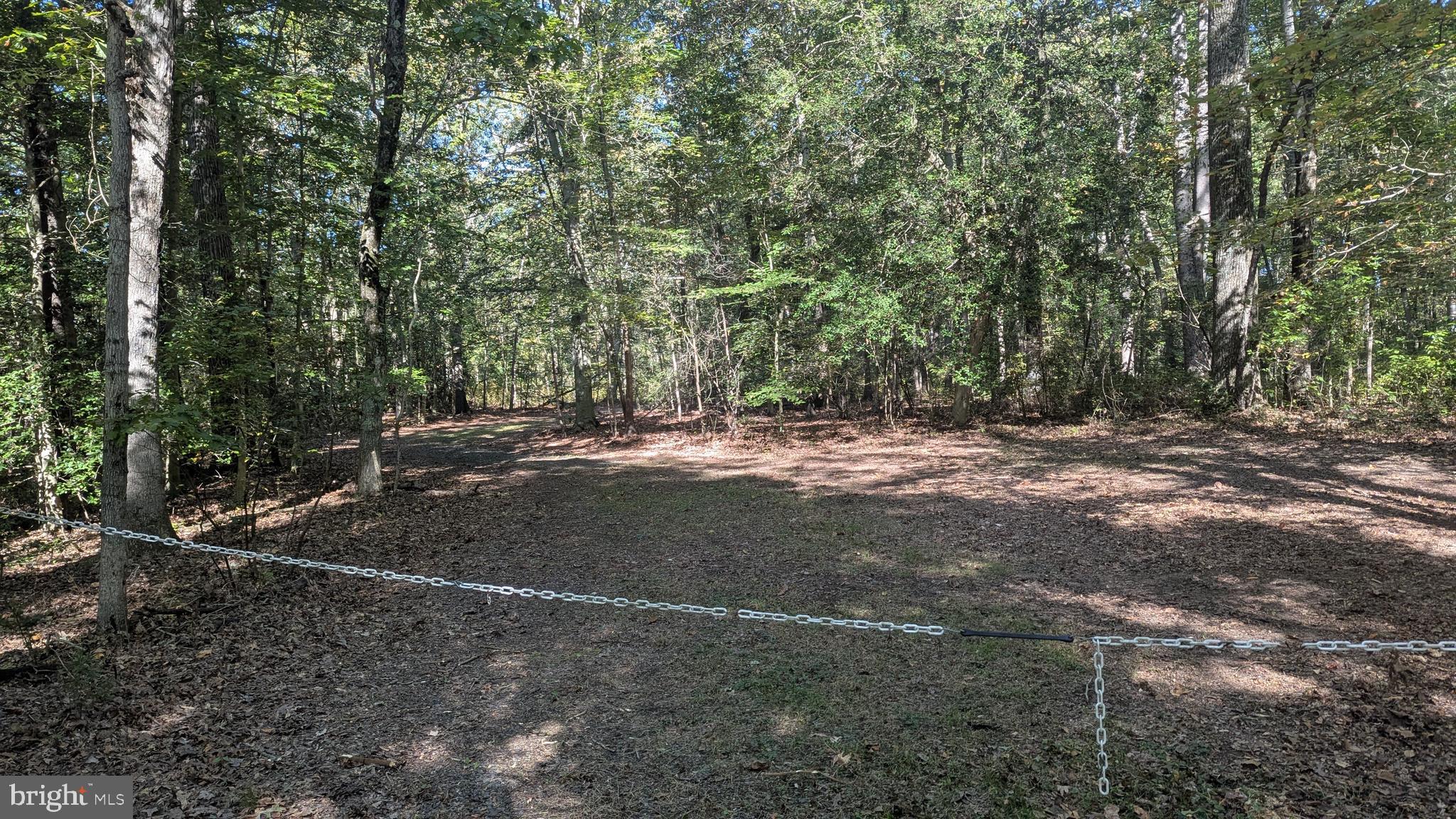 Williams Road Woodstown, NJ 08098 - Photo 5 of 19