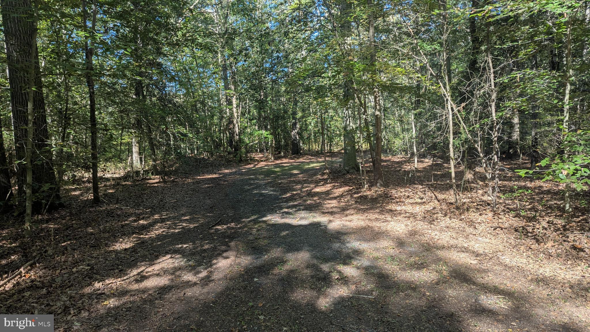 Williams Road Woodstown, NJ 08098 - Photo 6 of 19