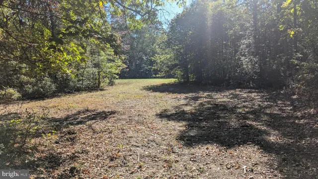 a view of a yard with trees