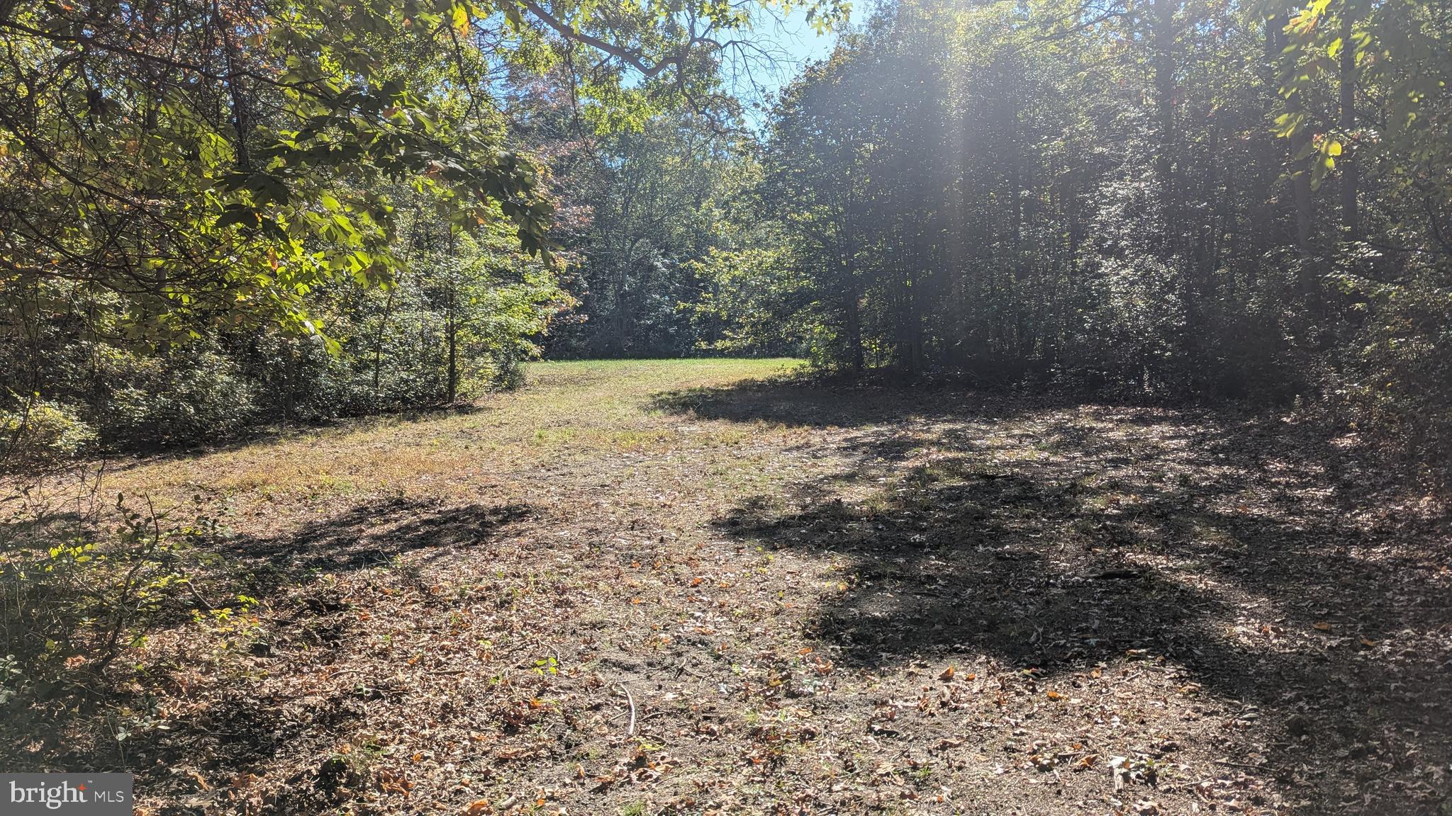 Williams Road Woodstown, NJ 08098 - Photo 7 of 19