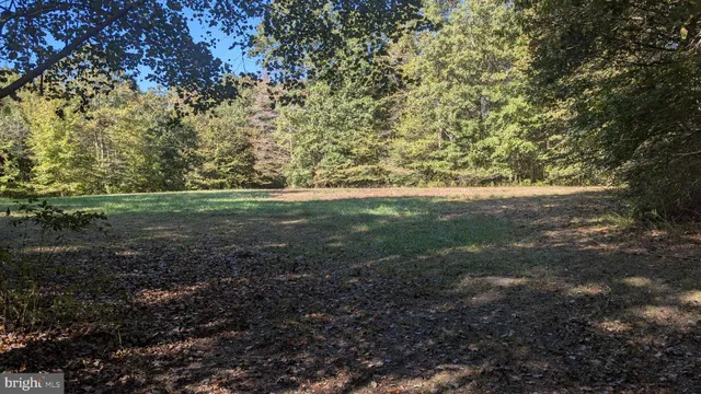 a big yard with lots of green space