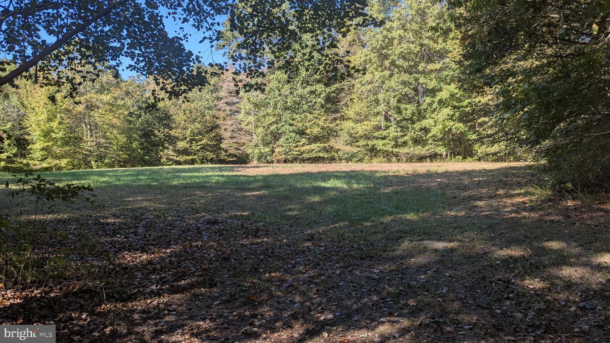 Williams Road Woodstown, NJ 08098 - Photo 8 of 19 1 acre cleared