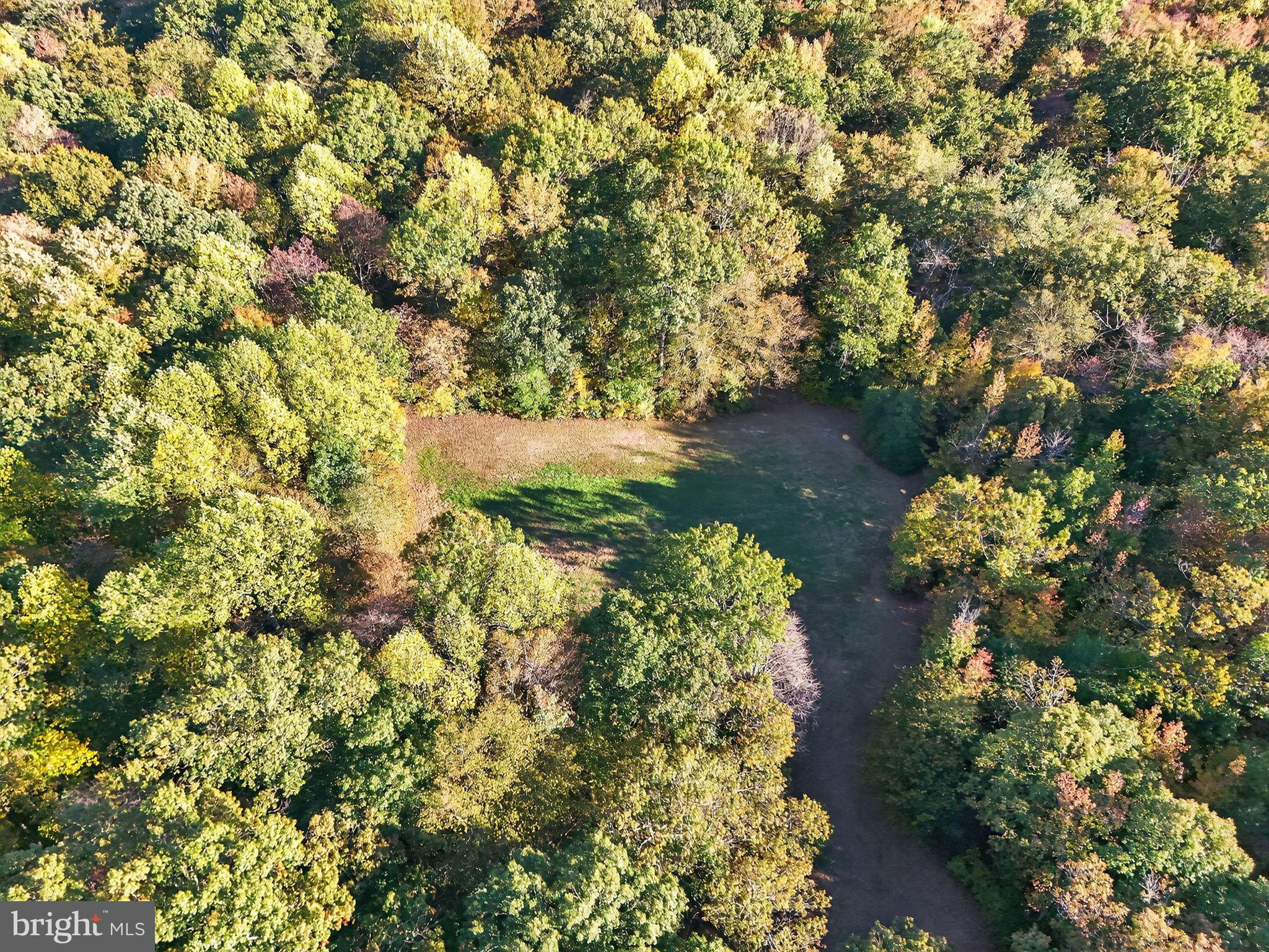 Williams Road Woodstown, NJ 08098 - Photo 10 of 19