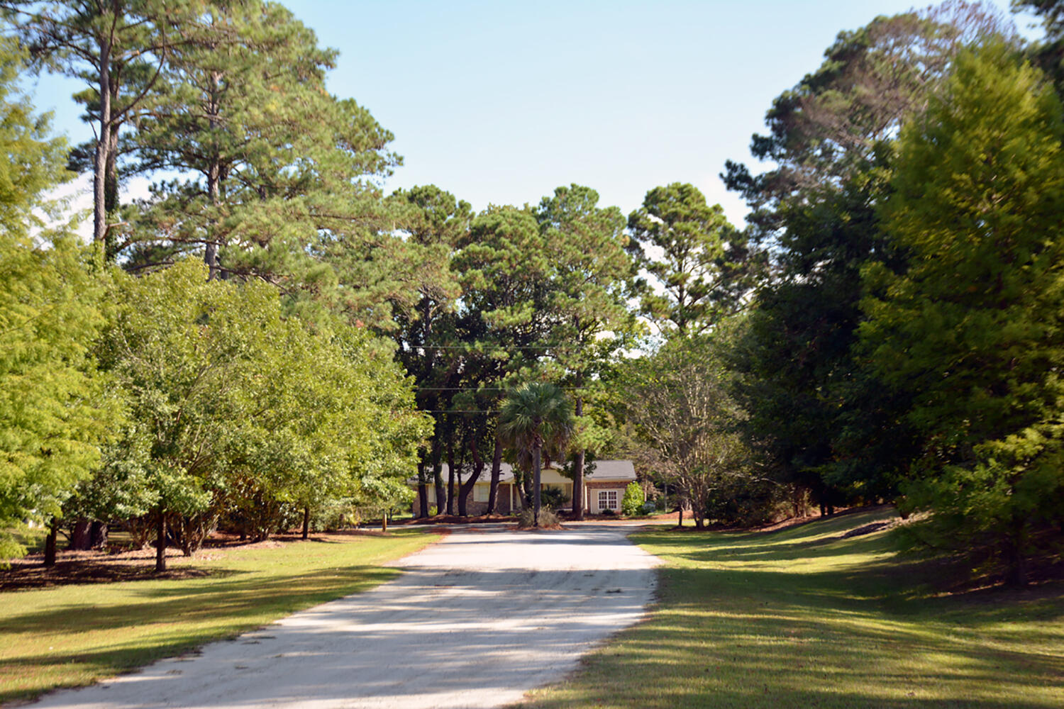 5 Blackbear Road Edisto Island, SC 29438 - Photo 22 of 25 DSC_5743_2774