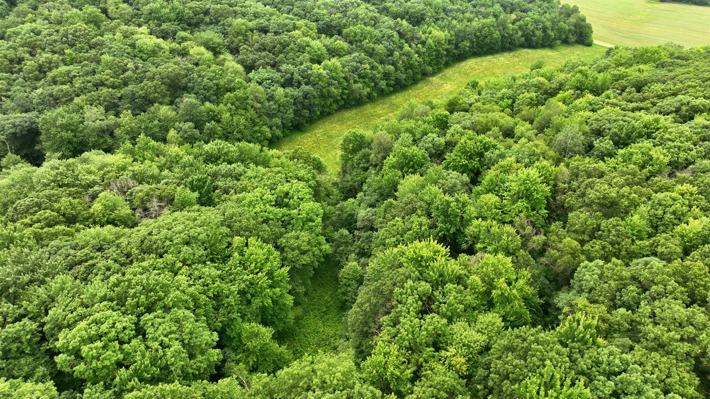 40-acres County Road South Wheeler, WI 54772 - Photo 16 of 22