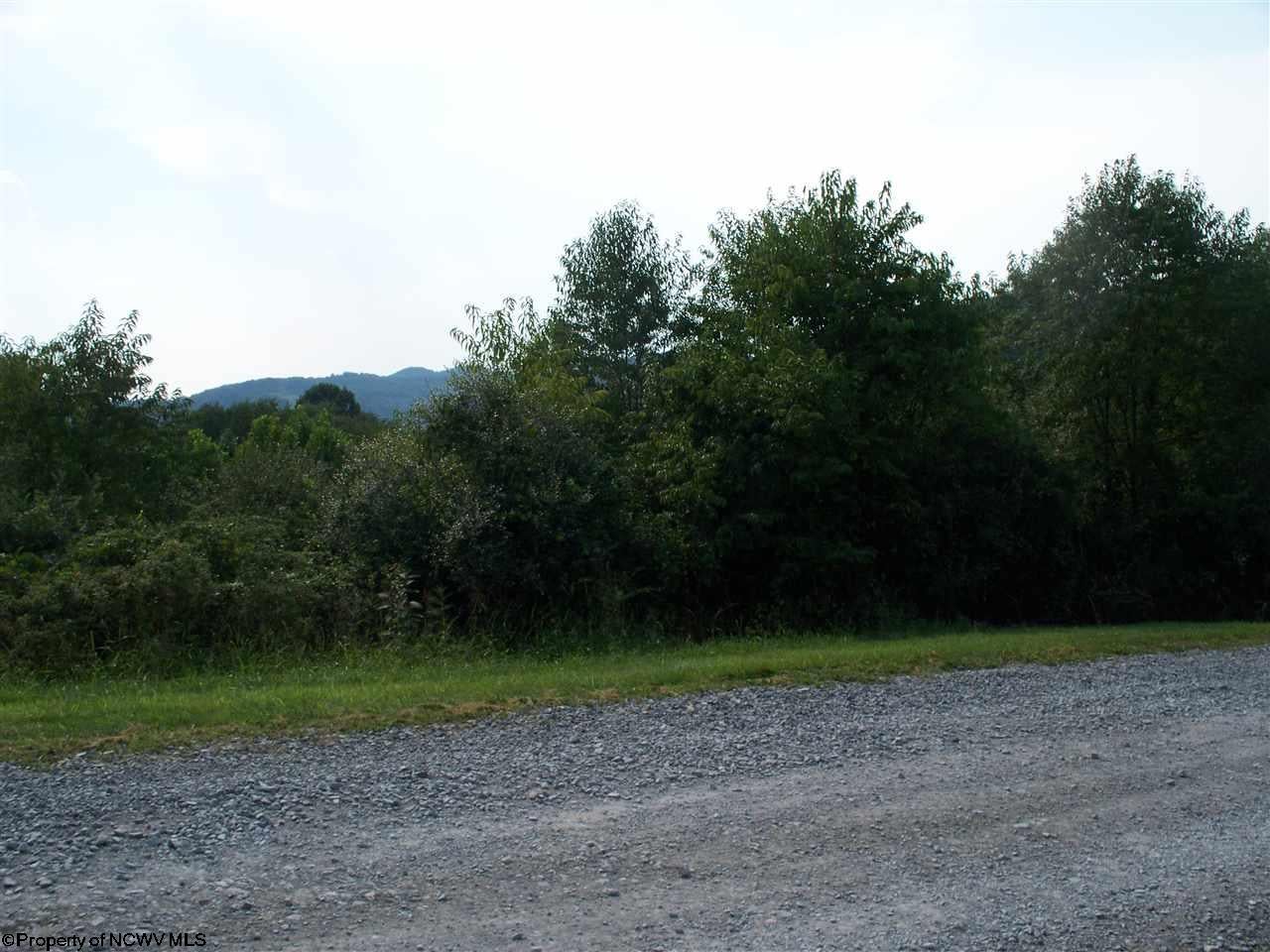 29-30 Ridgeview Jane Lew, WV 26378 - Photo 2 of 9 Gallery Image 2