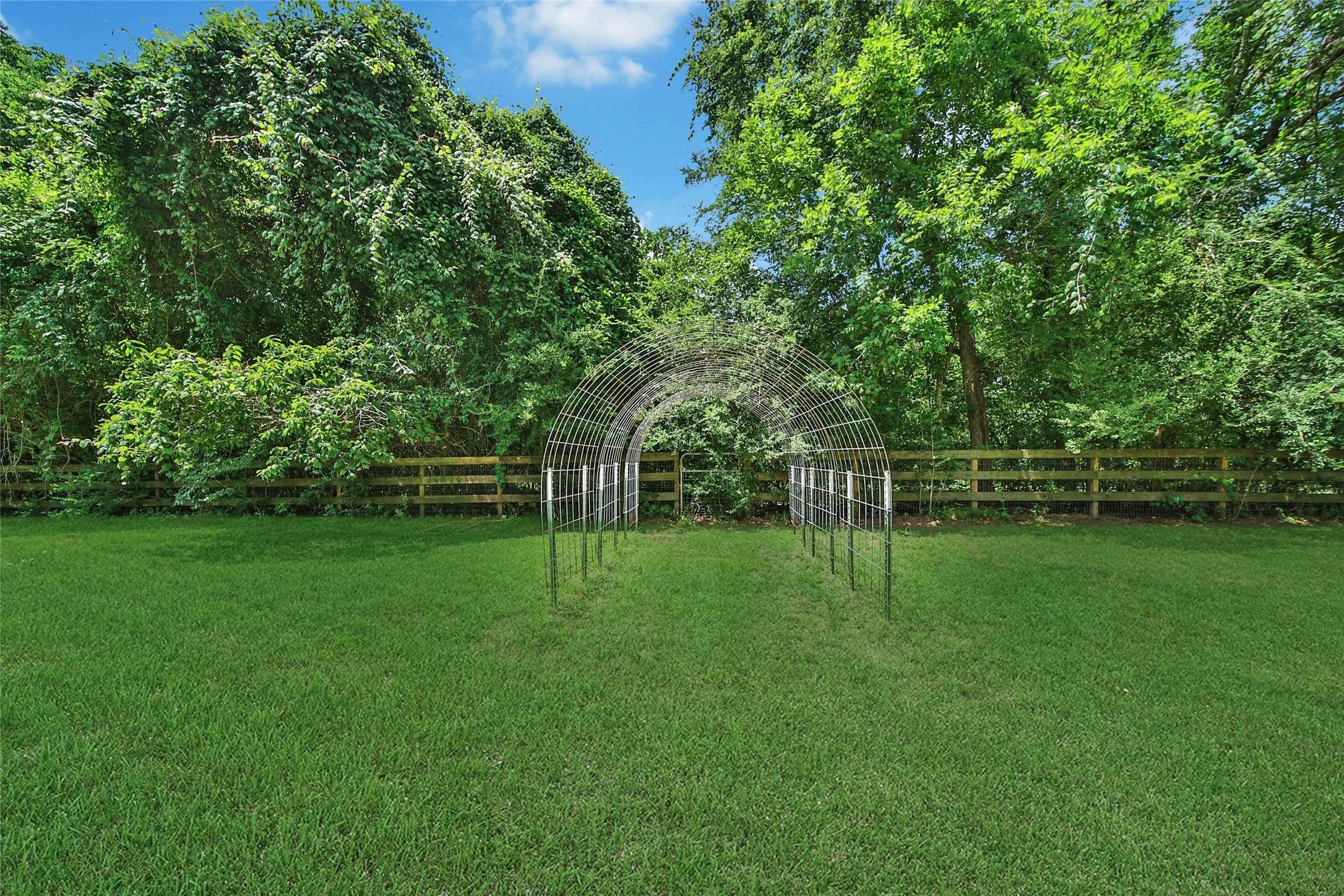 23644 Spring Branch Trail Montgomery, TX 77316 - Photo 24 of 32