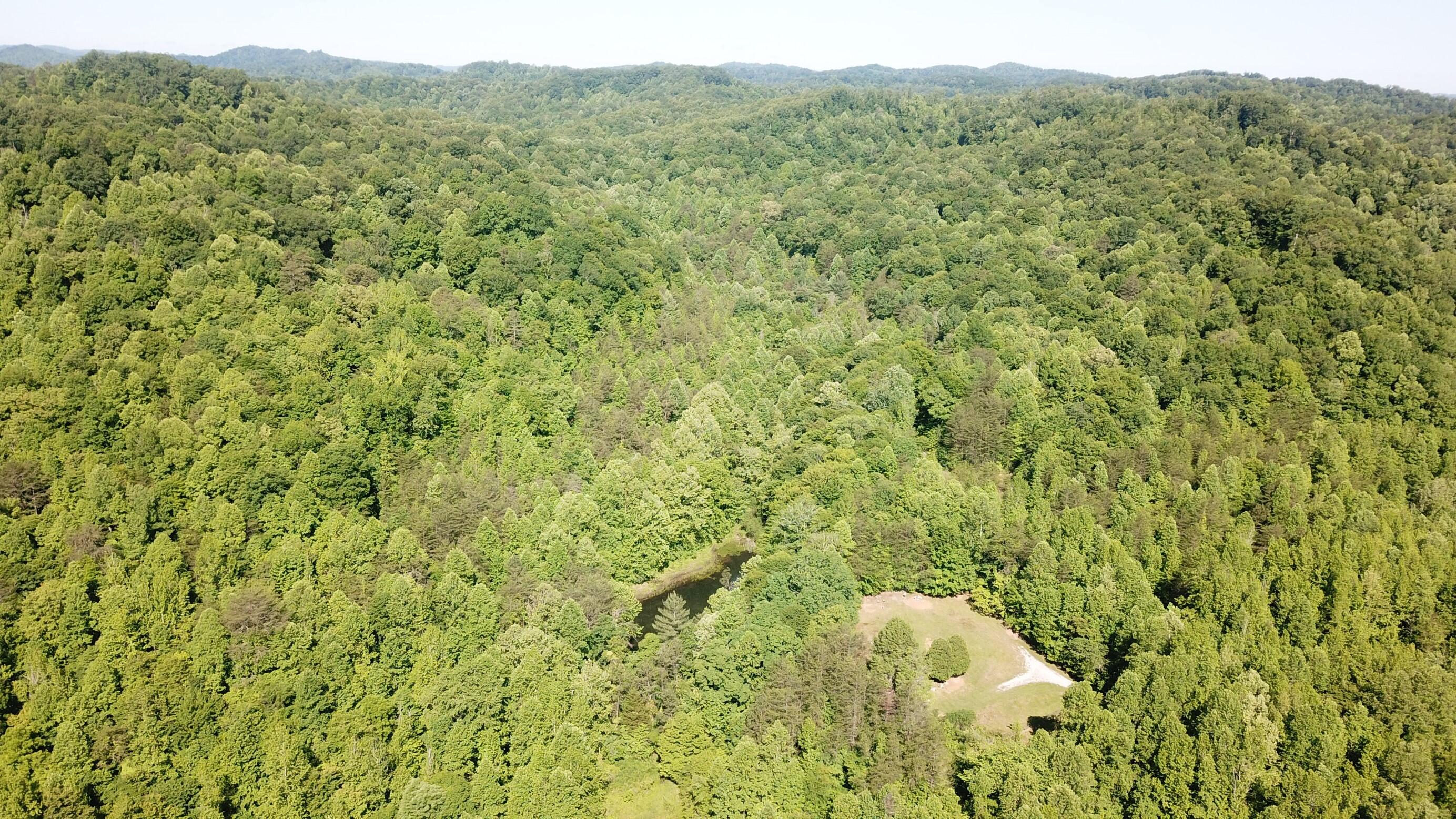 0 Emanuel Hollow Road Gray, KY 40734 - Photo 16 of 29 DJI_0006 (Custom)