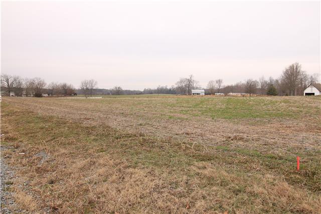 1 Henry Thompson Road Taft, TN 38488 - Photo 2 of 10
