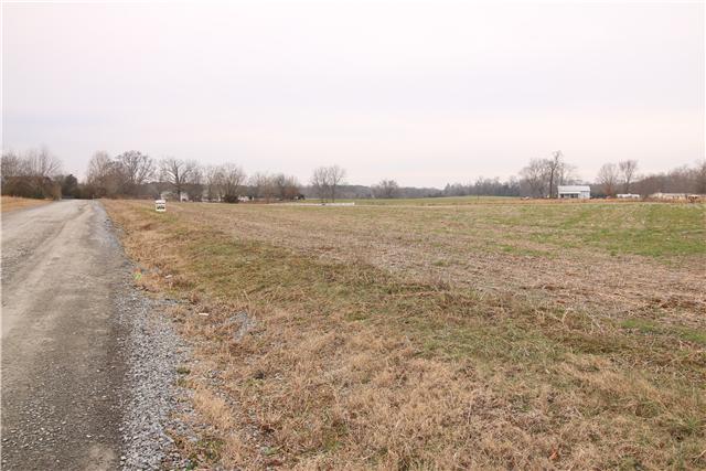 1 Henry Thompson Road Taft, TN 38488 - Photo 3 of 10