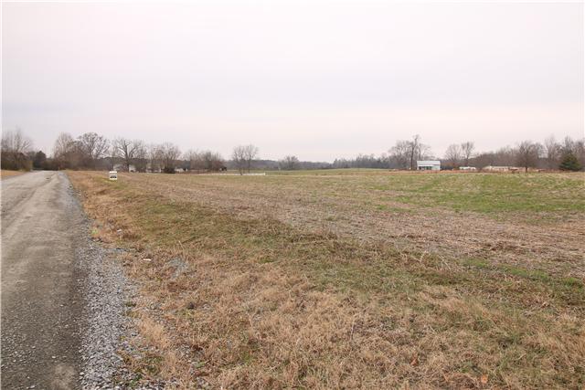 1 Henry Thompson Road Taft, TN 38488 - Photo 4 of 10
