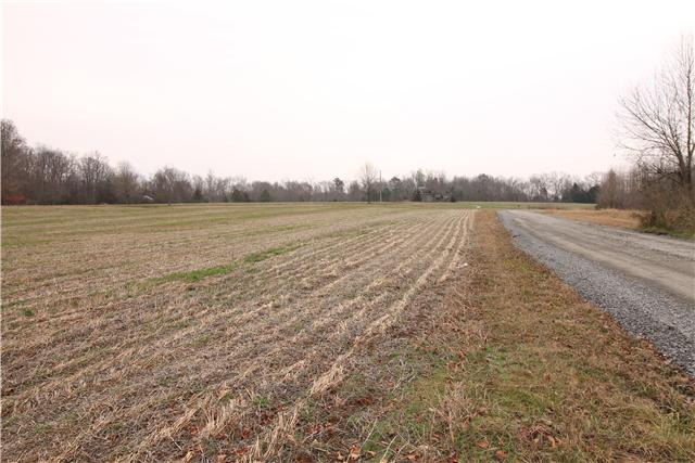 1 Henry Thompson Road Taft, TN 38488 - Photo 5 of 10
