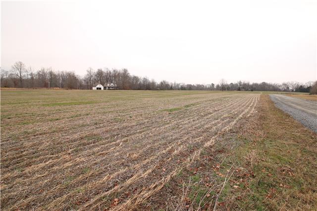 1 Henry Thompson Road Taft, TN 38488 - Photo 6 of 10
