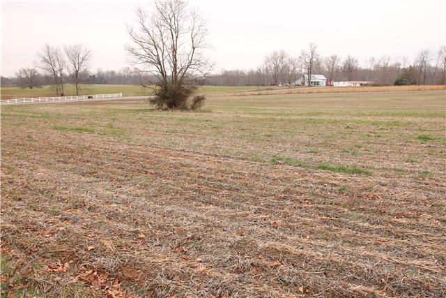 1 Henry Thompson Road Taft, TN 38488 - Photo 7 of 10