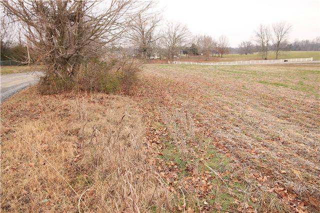 1 Henry Thompson Road Taft, TN 38488 - Photo 8 of 10