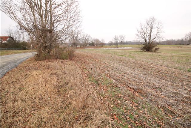1 Henry Thompson Road Taft, TN 38488 - Photo 9 of 10