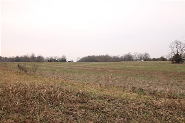 1 Henry Thompson Road Taft, TN 38488 - Photo 10 of 10