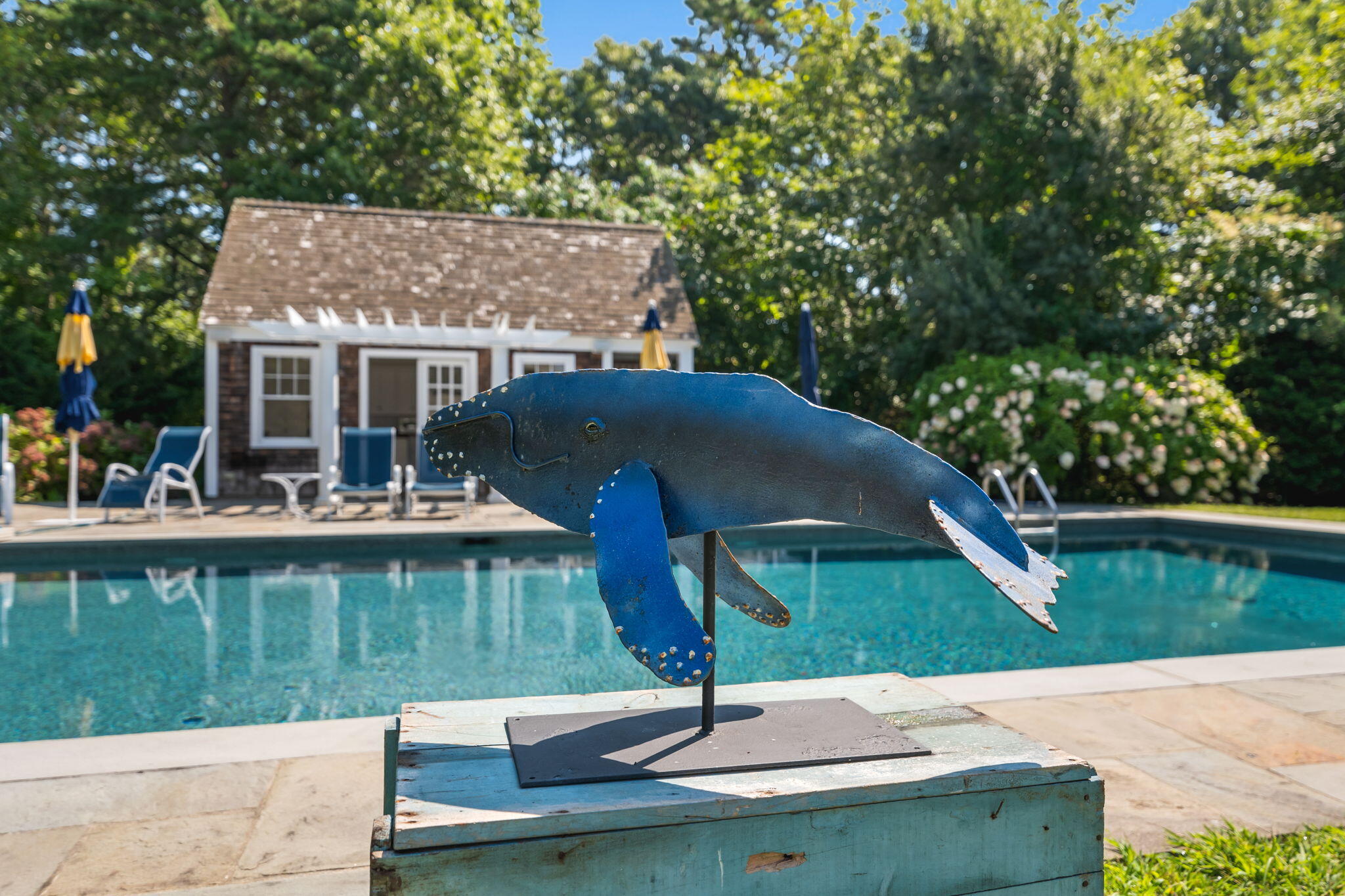 32 Chapoquoit Road Falmouth, MA 02540 - Photo 45 of 50 pool whale