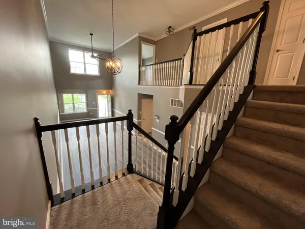 a view of staircase with lots of frames on wall and windows