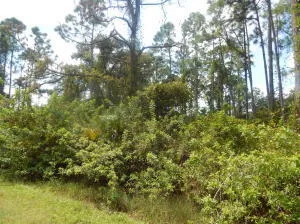 $49,000 | 575 Avenida Del Sur, Clewiston, FL 33440