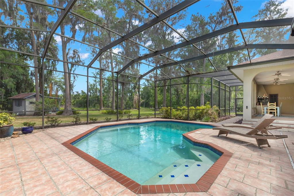 19229 Blount Road Lutz, FL 33558 - Photo 17 of 66 Gallery Image 17