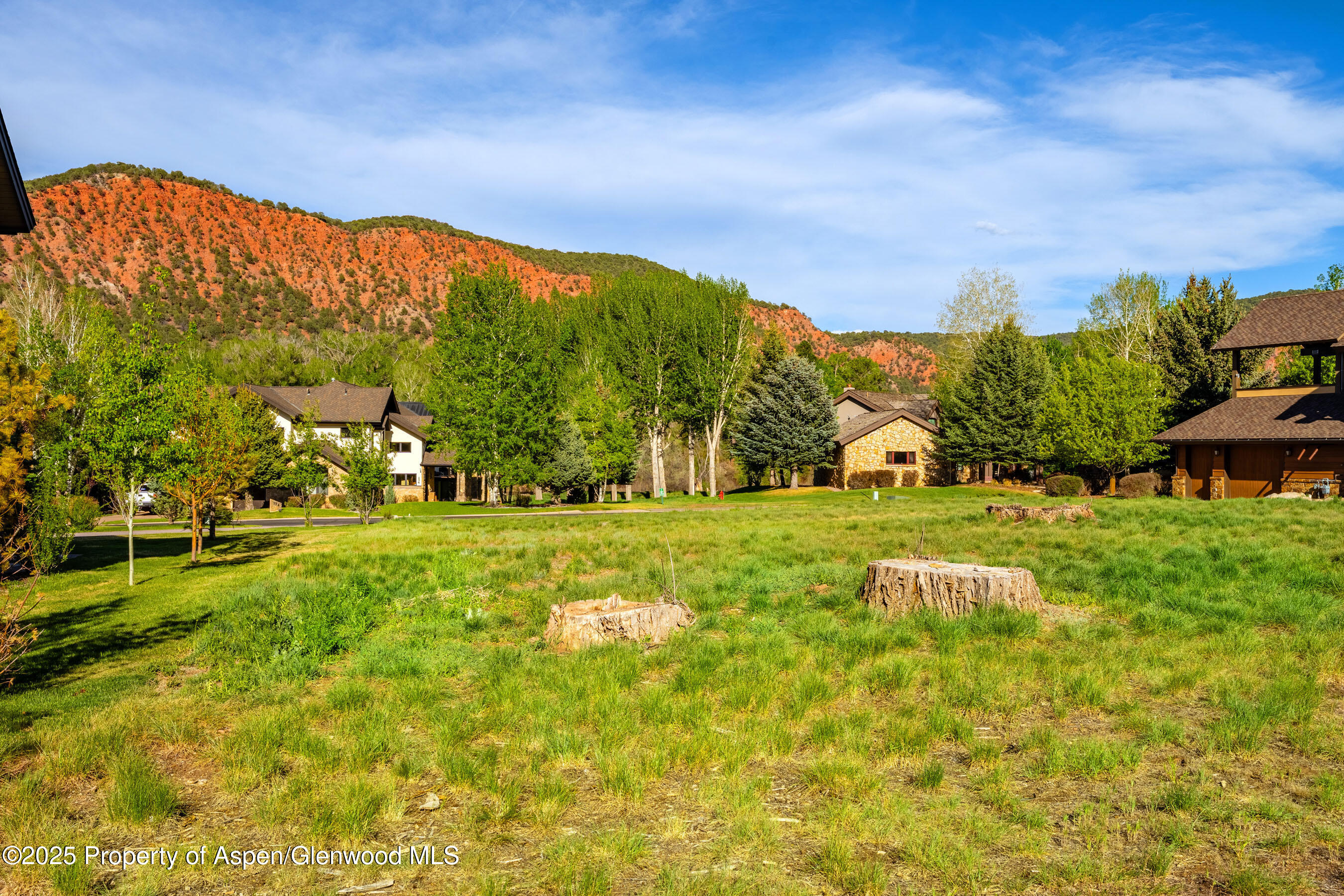 0 River Glen Road Carbondale, CO 81623 - Photo 14 of 22 a view of yard with swimming pool and green space