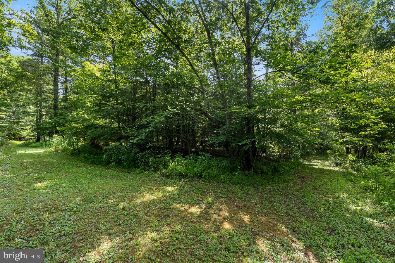 1499 Buggy Ridge Road Mount Jackson, VA 22842 - Photo 27 of 39 Trails throughout the property