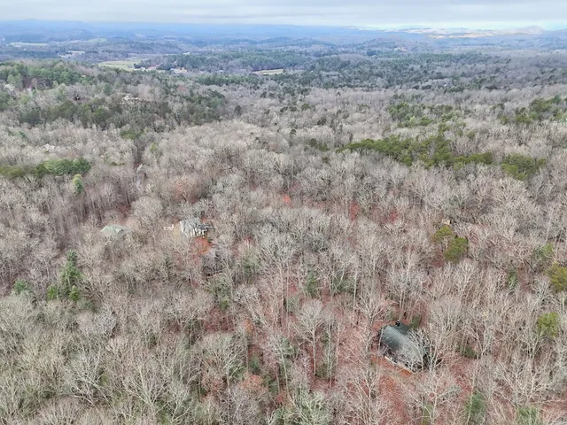 a view of a big yard with large trees